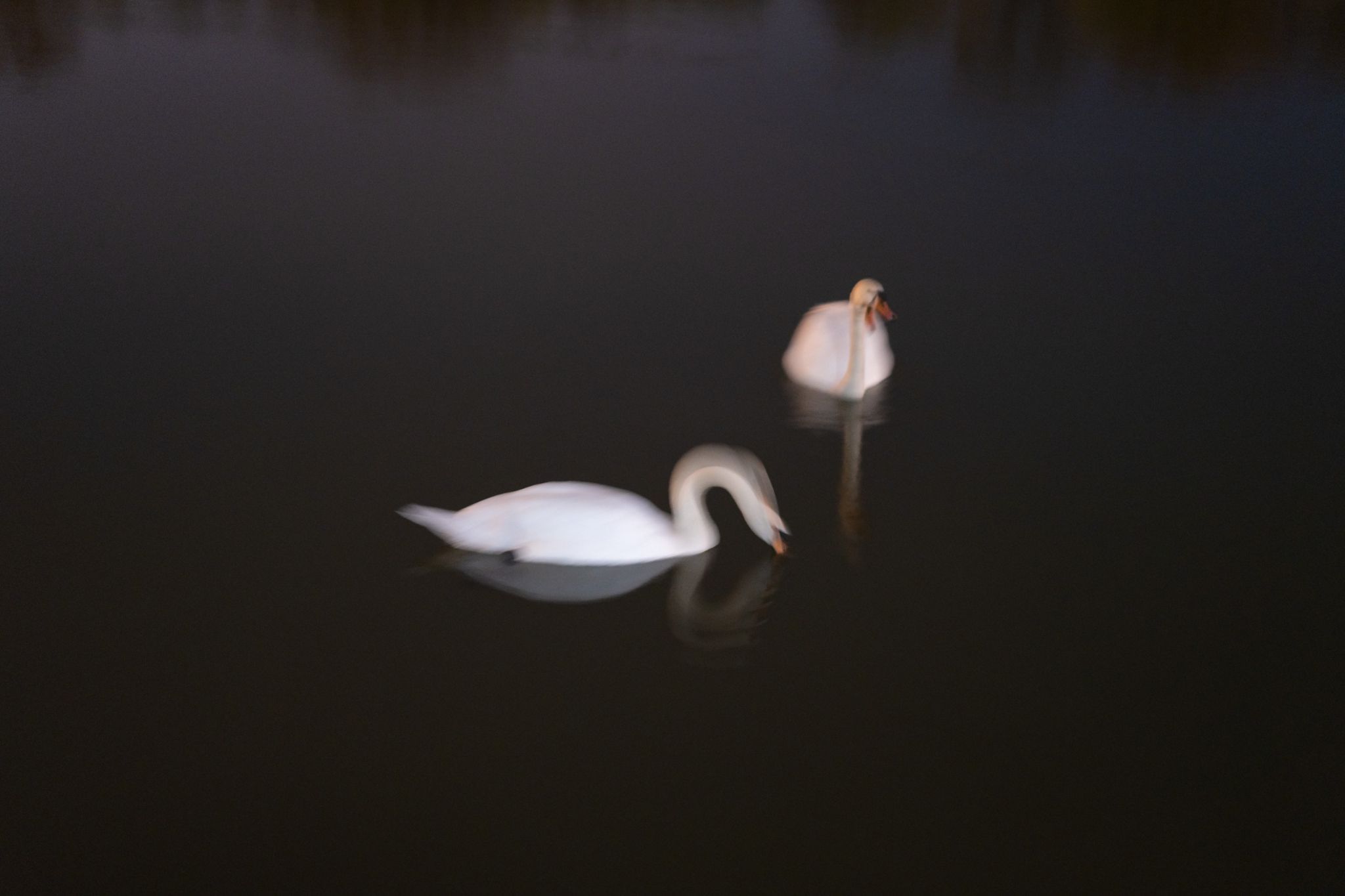 30 220415 Nacht Dirk Opitz DIO3535 DxO