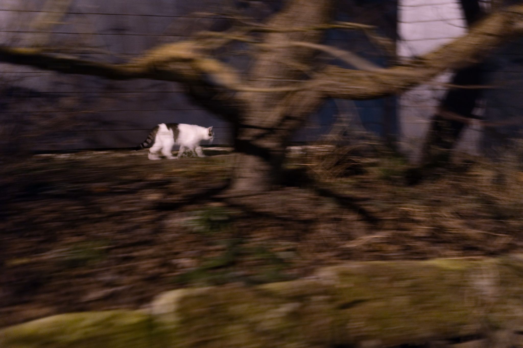 22.12.2021, Goettingen, Projekt Und immer wieder Nacht