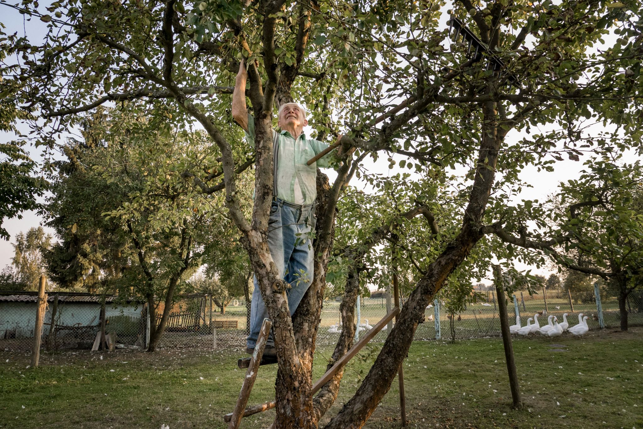 When you’re 66, life really begins. When you’re 66 you have